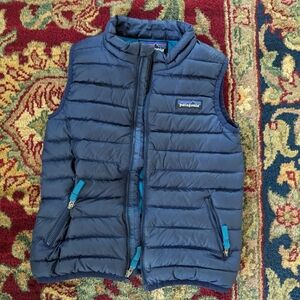 Patagonia kids down puffy vest